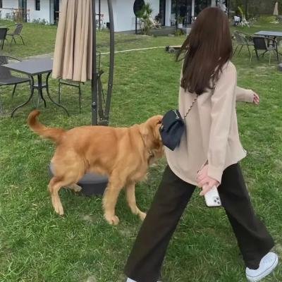 变身!偶像公主